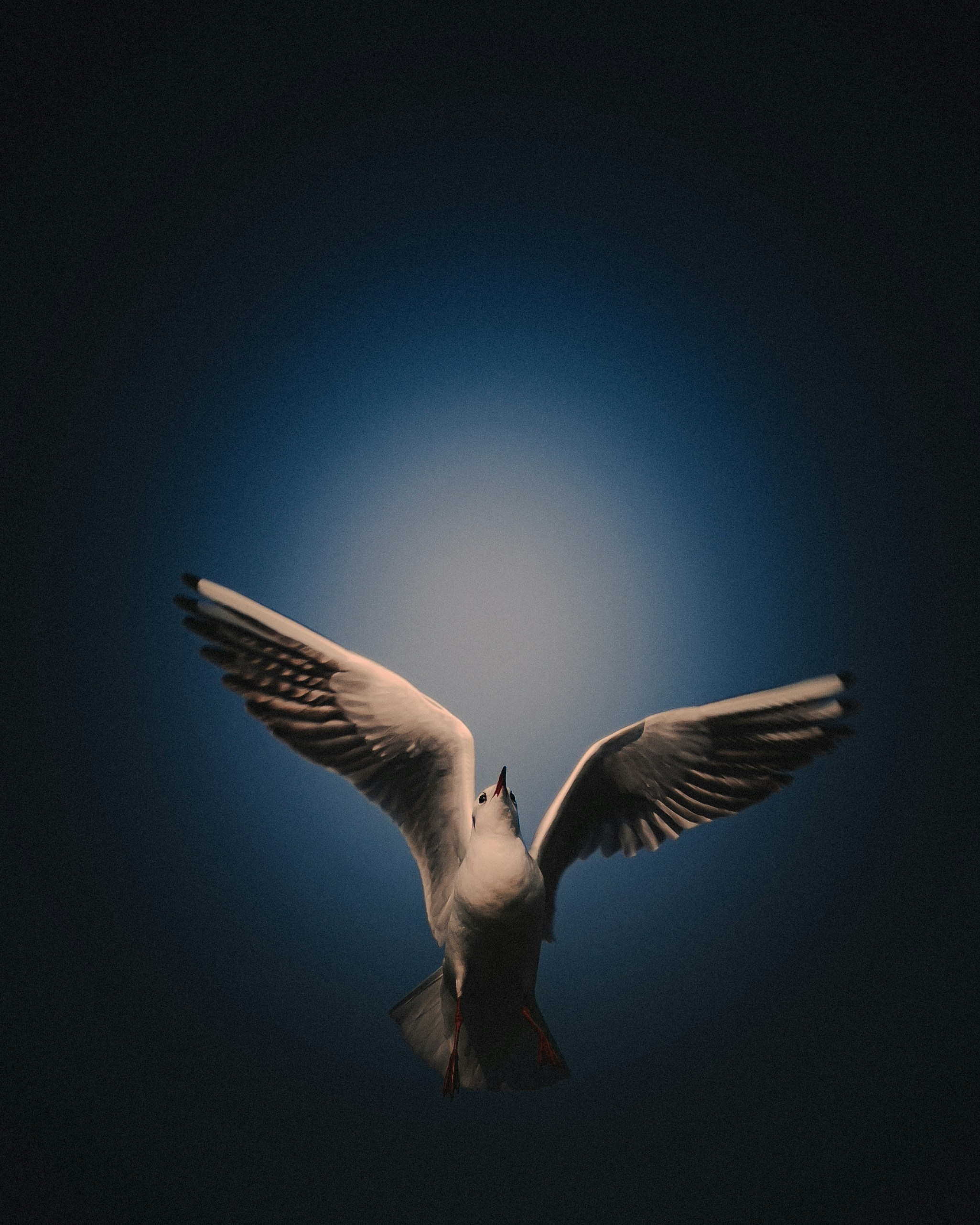 Hemn Awat CyroJ99D8sk Unsplash